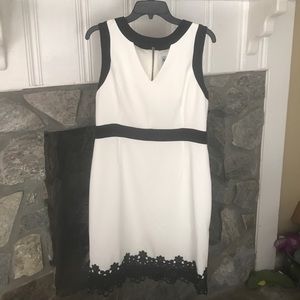 NWT white dress with black detail and lace hem